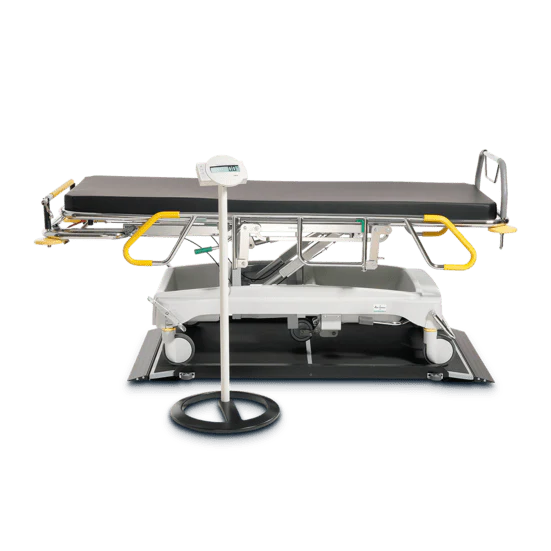 656 Seca Gurney & Stretcher Scales - Image 3